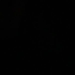 Meet your Posher, Jerrett